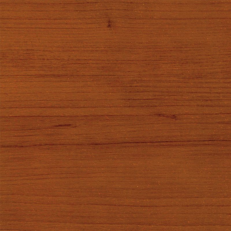 Cerise d ete | 3214009-195