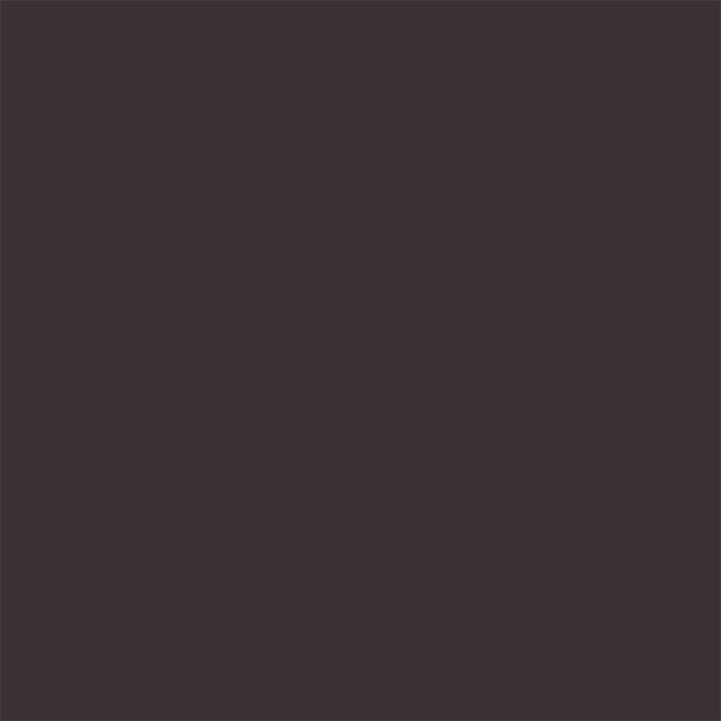 Brun Foncé | RAL 8019